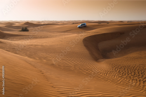 Abu dhabi desert