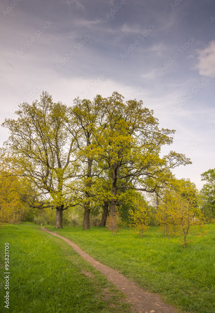 Spring landscape. Tsarskoye Selo (Pushkin), St. Petersburg, Russia
Spring landscape. Tsarskoye Selo (Pushkin), St. Petersburg, Russia