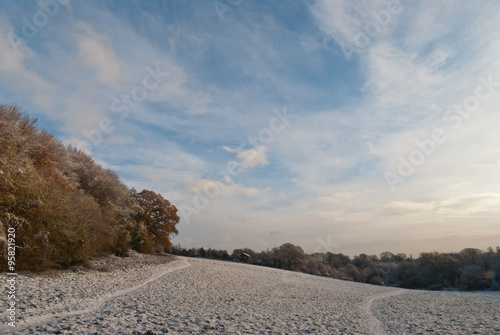 Winter scene Saint Fagans