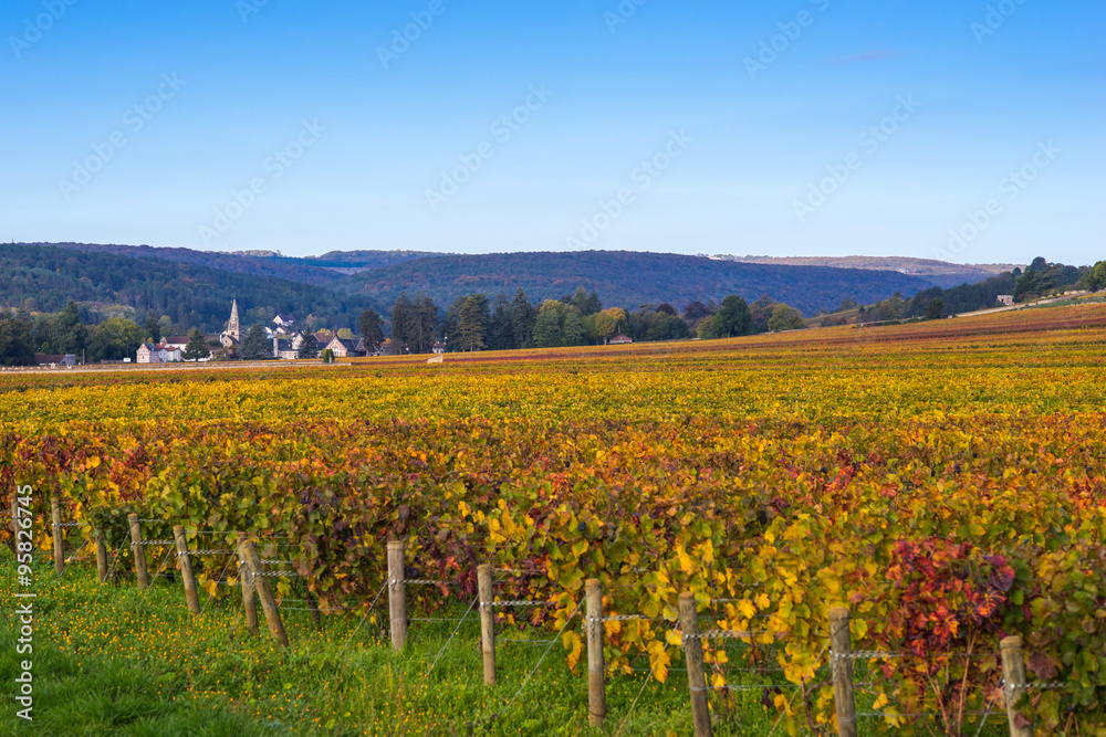 automne en Bourgogne