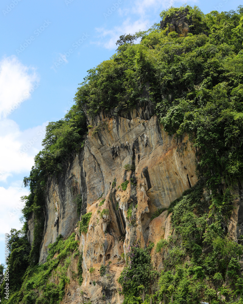 blue sky, mountains and tree