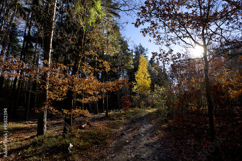 Colorful autumn Landscape in Bohemia