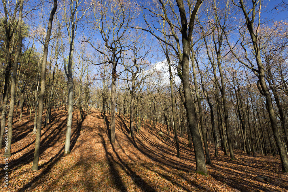 Colorful autumn Landscape in Bohemia Colorful autumn Landscape in Bohemia