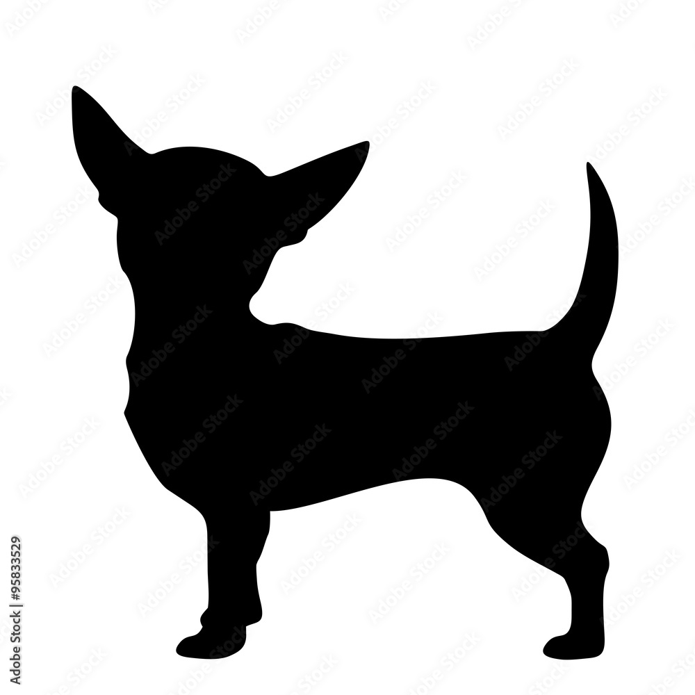 Vector black silhouette of a Chihuahua dog isolated on a white background.