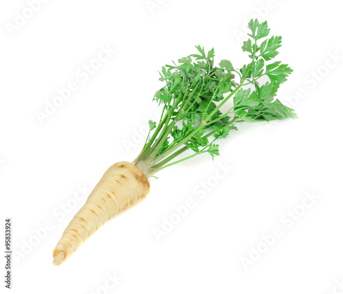 Root parsley