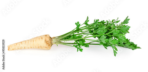 Root parsley1