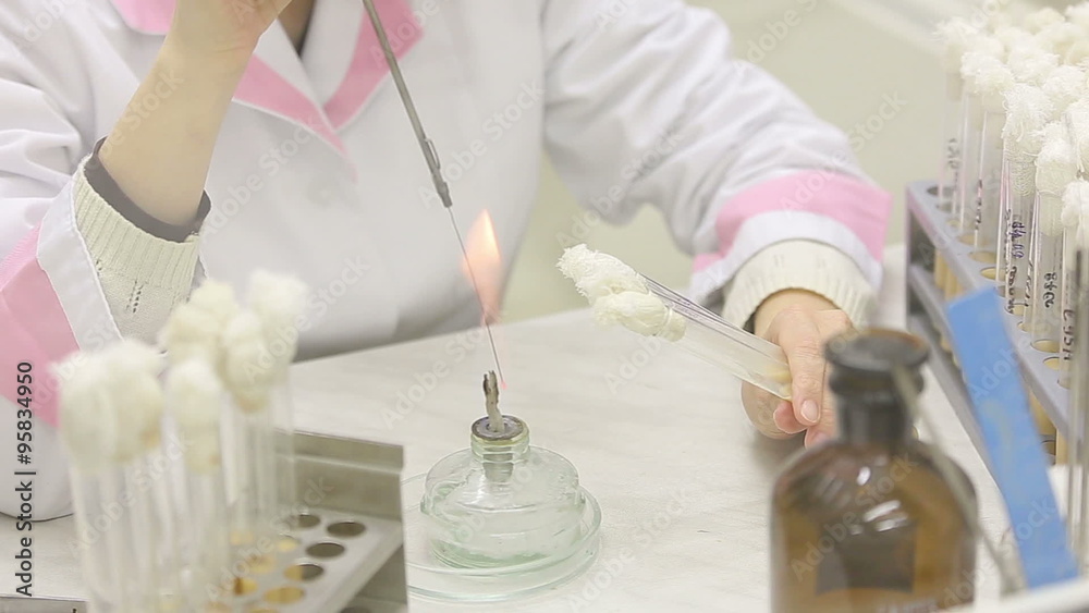 Microbiological laboratory work with test tubes Microbiological laboratory work with test tubes