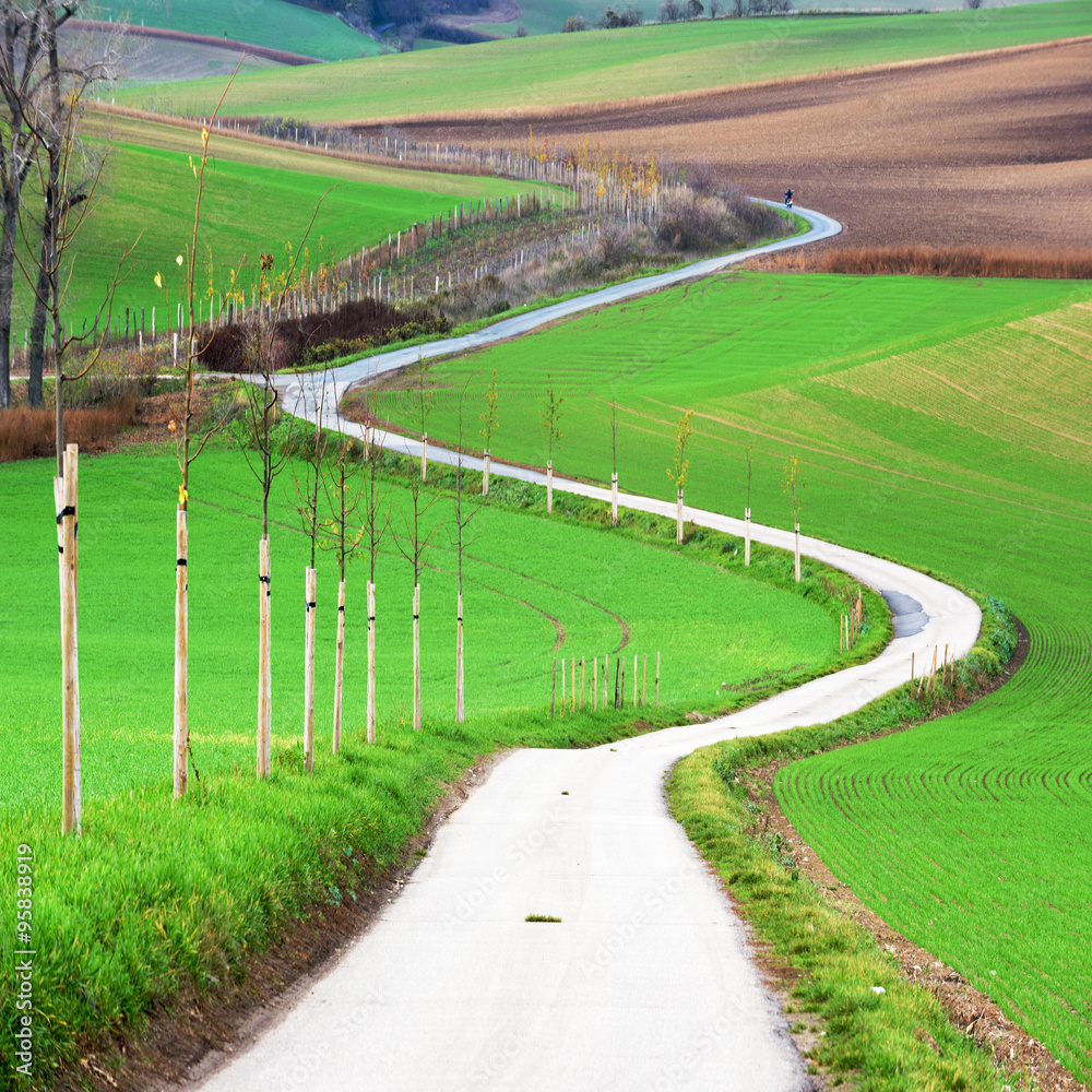Fototapeta premium Czech countryside, south Moravia.