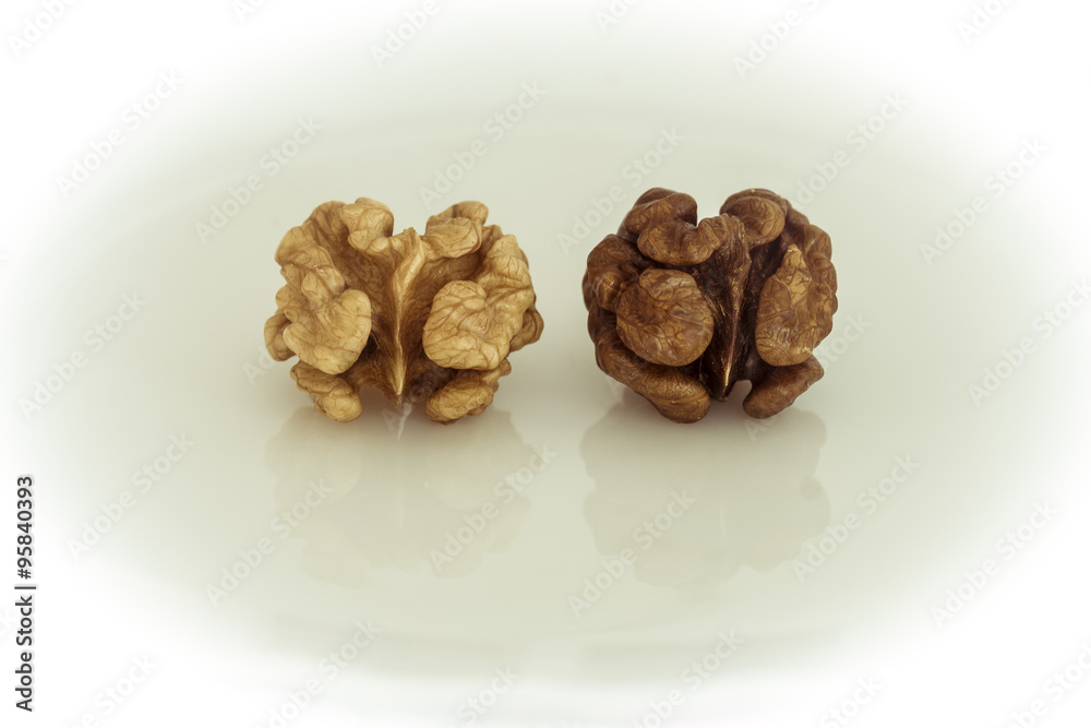 Walnuts. Two peeled walnuts with reflection in the enamel. Light and dark kernels. Walnuts. Two peeled walnuts with reflection in the enamel. Light and dark kernels.