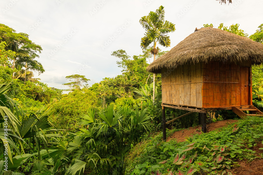 Obraz premium Lodge In The Middle Of Jungle