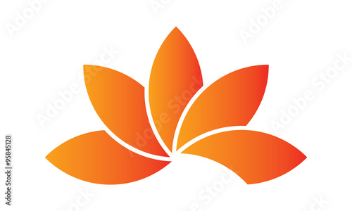 Fleur Lotus orange