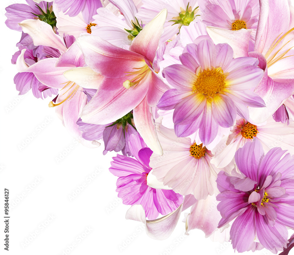 Beautiful bouquet pink flowers garden on white background isolat