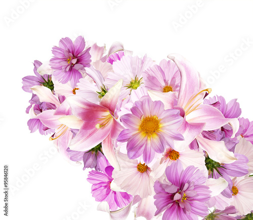Beautiful bouquet pink flowers garden on white background isolat