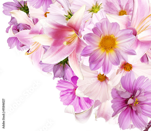 Beautiful bouquet pink flowers garden on white background isolat © red150770