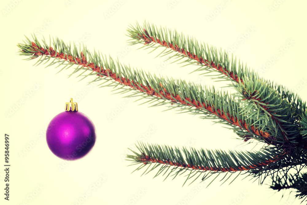 One separated christmas ball handing on a twig. One separated christmas ball handing on a twig.