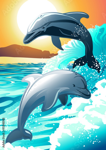 Two dolphin swimming at a beach at sunrise