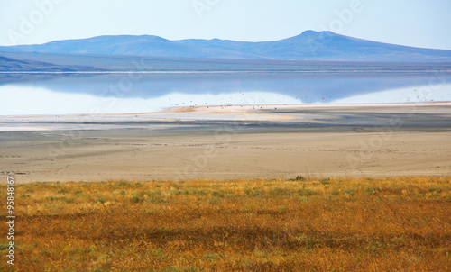 Koyashskoye salt lake