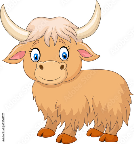 Cartoon funny yak isolated on white background
 photo