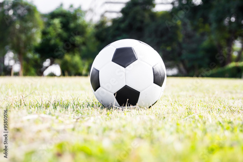 Soccer football ball on grass field © torsak