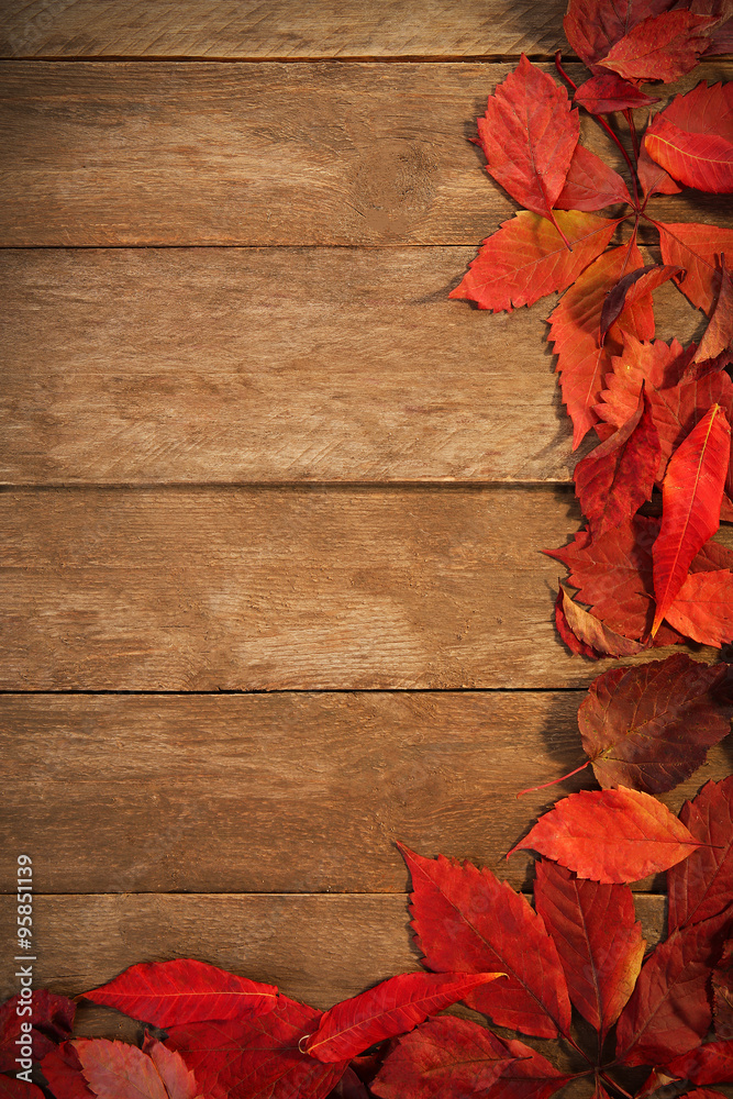 Obraz premium Border of red autumn leaves, on wooden background