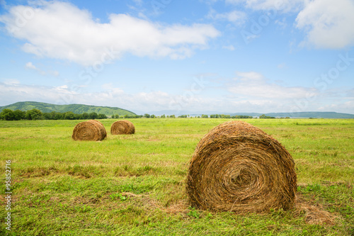 Haystacks in the field in summertime
