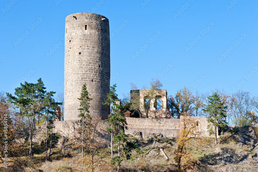 royal gothic castles Zebrak and Tocnik, Central Bohemian region, Czech republic, Europe