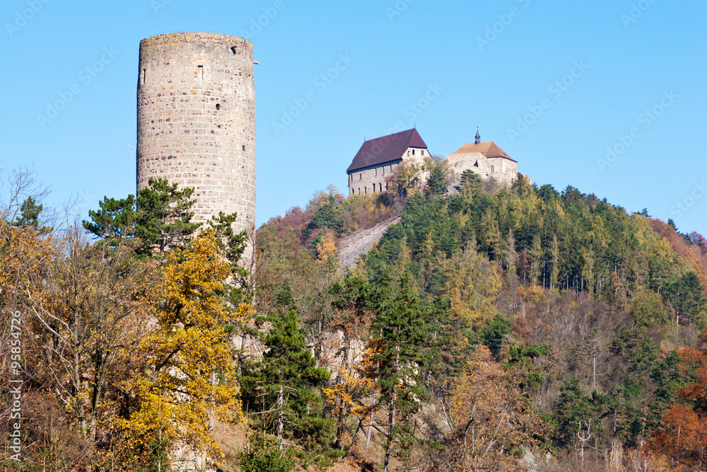 royal gothic castles Zebrak and Tocnik, Central Bohemian region, Czech republic, Europe