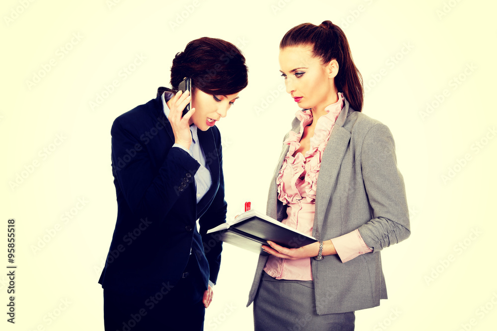 Two businesswomans discussing with eachother. Two businesswomans discussing with eachother.