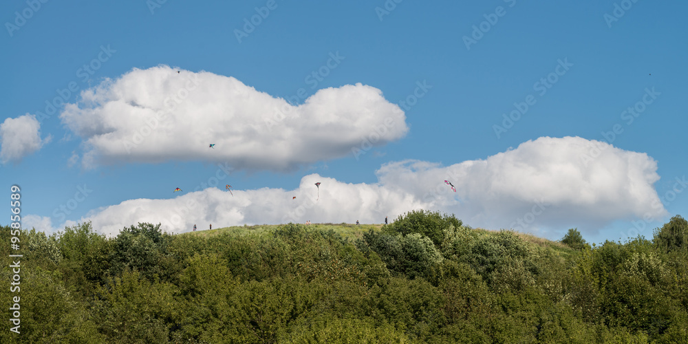 People flying kites atop the Drachenberg in Berlin Grunewald