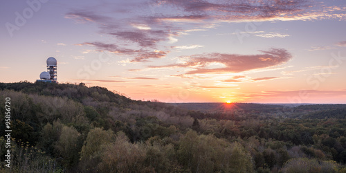 View over the Grunewald forest in Berlin