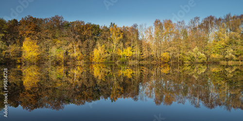 Colorful trees reflecting in a pond during autumn