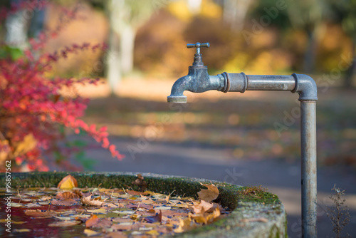 Rustic steel faucet over a stone water reservoir with leaves on the water surface in autumn