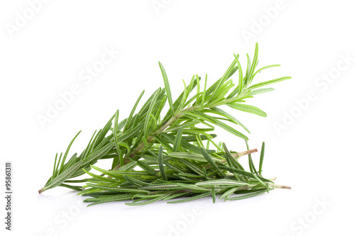 rosemary isolated on white background