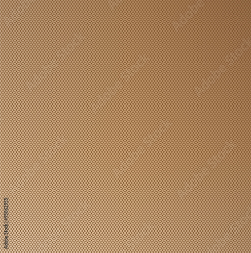 Nylon Stocking Mesh Grid