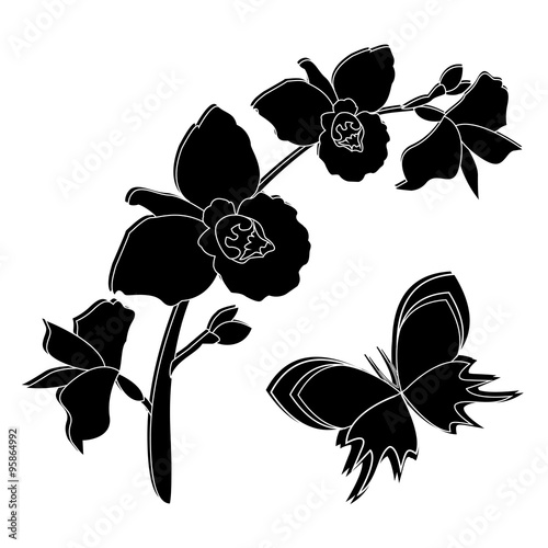 Black silhouette of orchid flowers with butterfly. Orchid branch background
