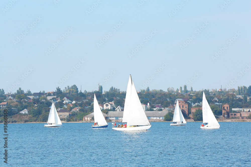 Fototapeta premium Multiple sailboats racing on blue water with distant coastal town and clear sky, leisure and competition
