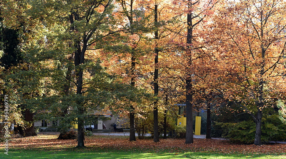 Naklejka premium jardin public
