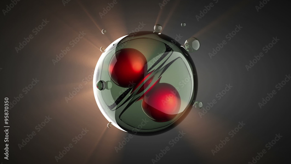 loop rotate cell division illustration