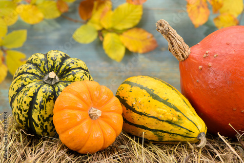 Kürbis als Dekoration zu Halloween photo