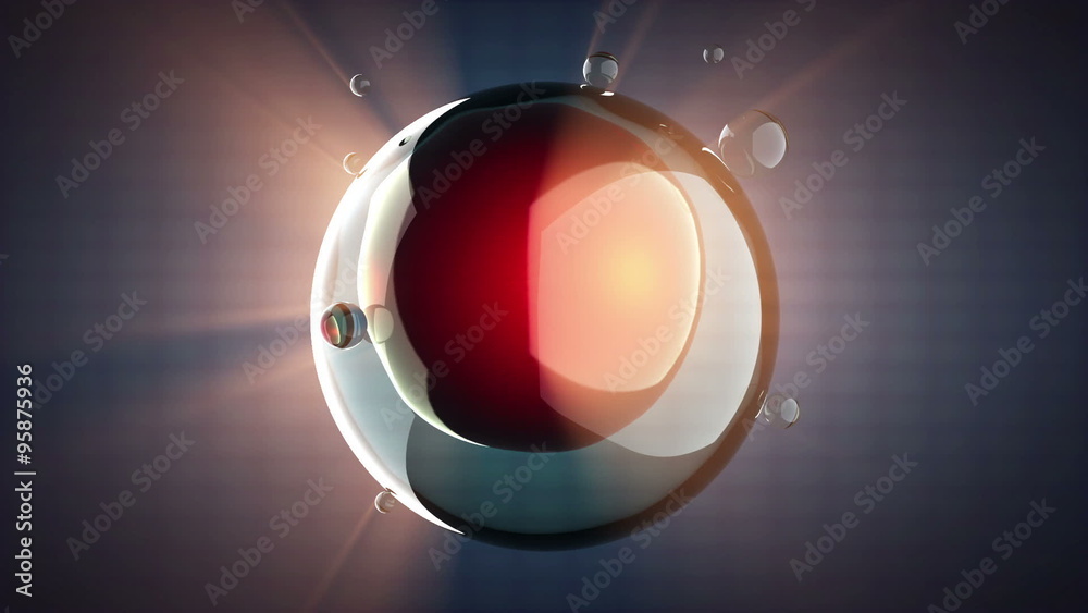 loop rotate cell division illustration