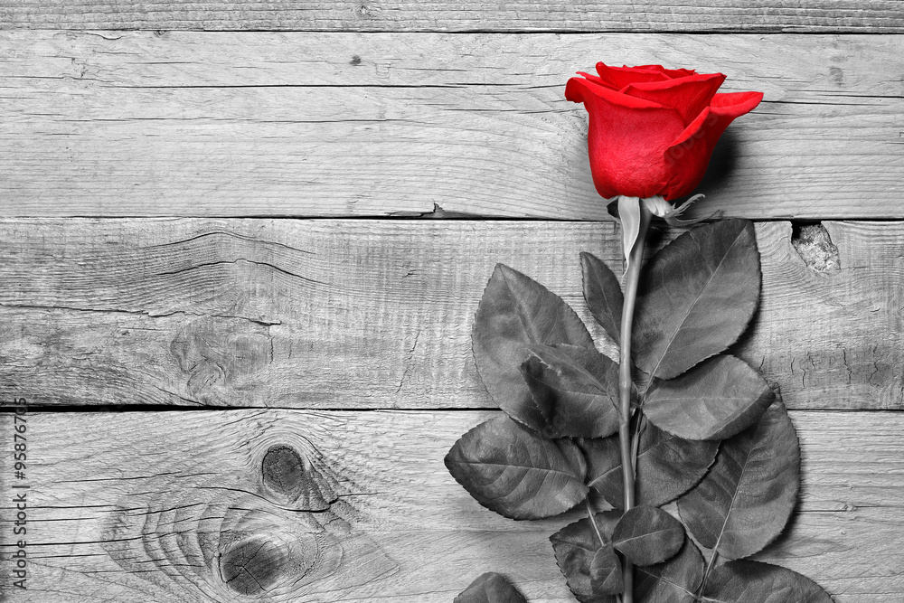 Red rose on black and white wooden background - obrazy, fototapety, plakaty 