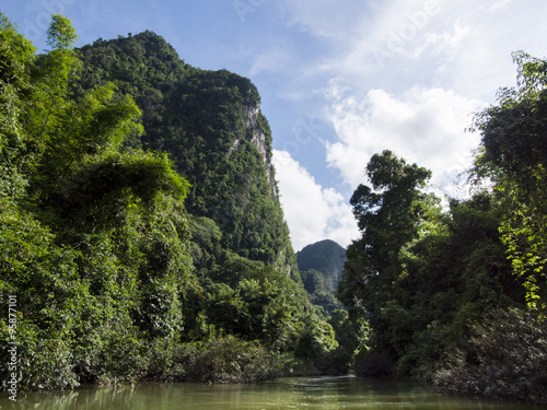 Tropical rain forest and river at Suratthani , Thailand background