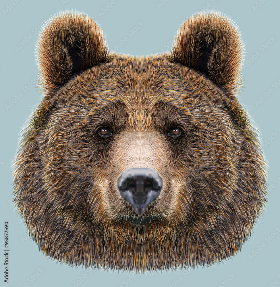 Fototapeta premium Illustrated Portrait of Bear on blue background