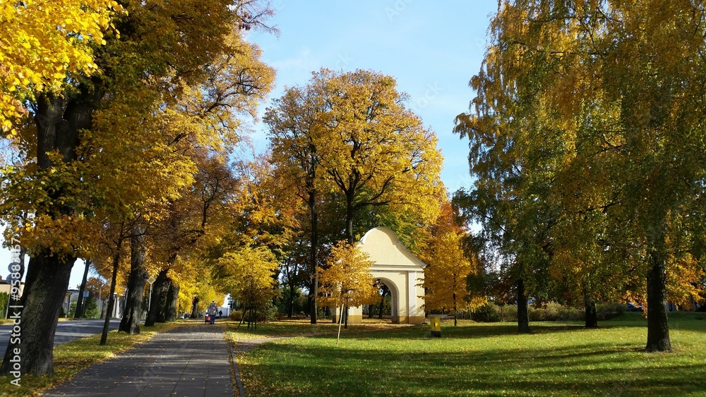 Beautiful Golden Autumn in Wejherowo,Poland Beautiful Golden Autumn in Wejherowo,Poland