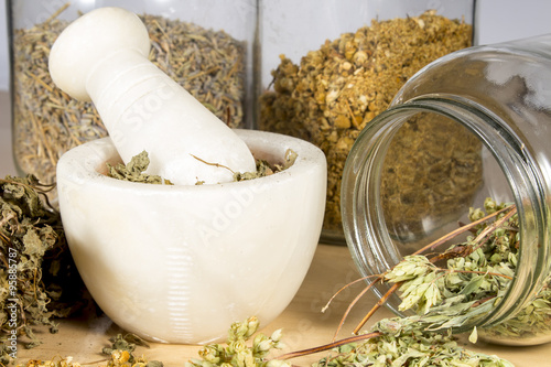 Dry herbs used for tisanes, folk medicine and cooking: Pennyroyal,chamomile and oregano