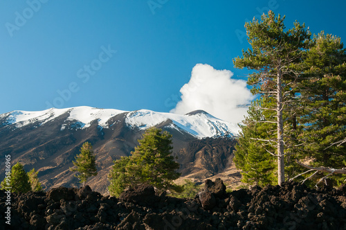 Obraz na płótnie View of some pine trees in the northern side of Mount Etna and the snowy peak w salonie
