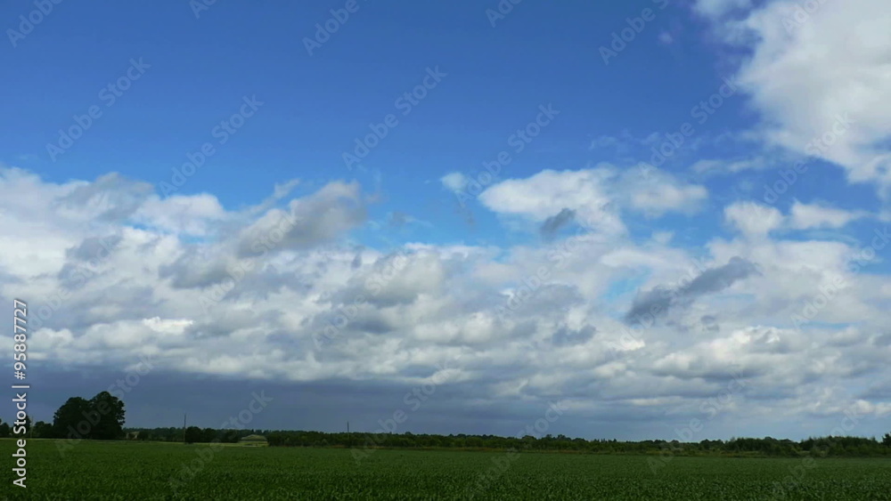 View from the car's side window while driving through fields View from the car's side window while driving through fields