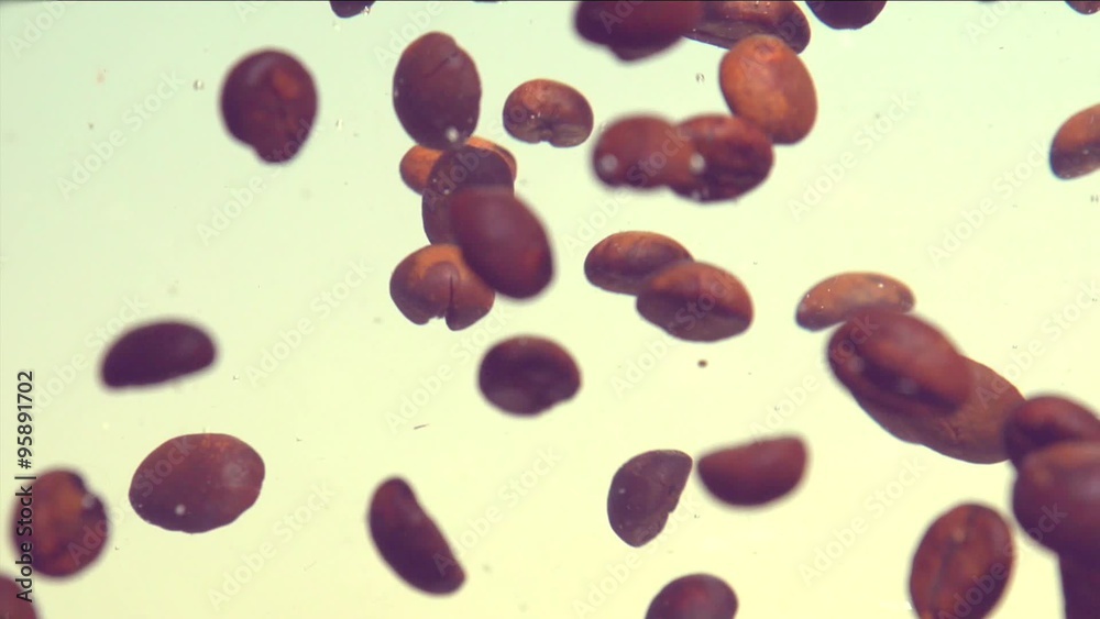 coffee beans floating in water. Slow motion 240 fps. coffee beans floating in water. Slow motion 240 fps.