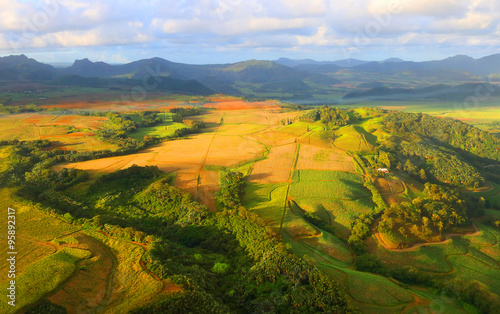 Aerial view to rural landscape with sugar cane fields on Mauritius Island.