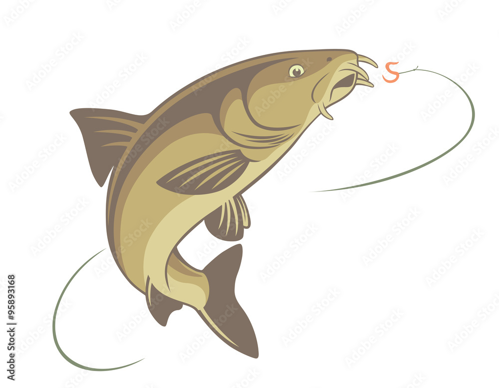 Obraz premium fish barbel